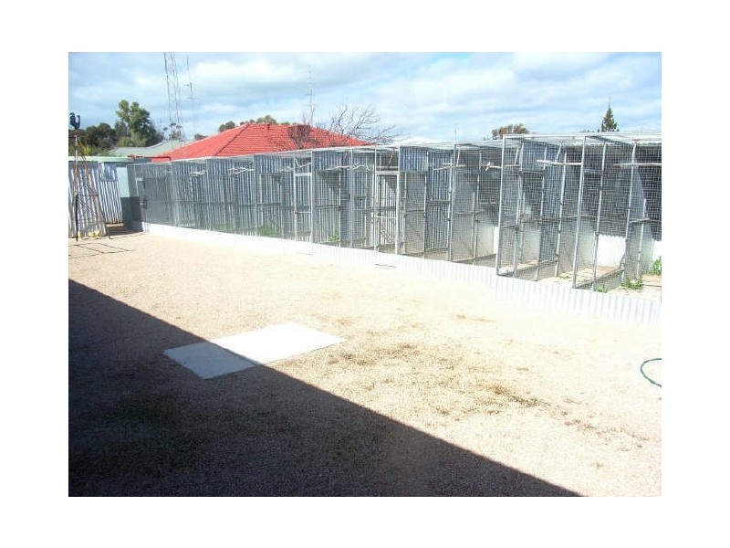 5 Gurner Street, Kadina SA 5554