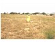 Lot/16 Measday Crescent, Kadina SA 5554
