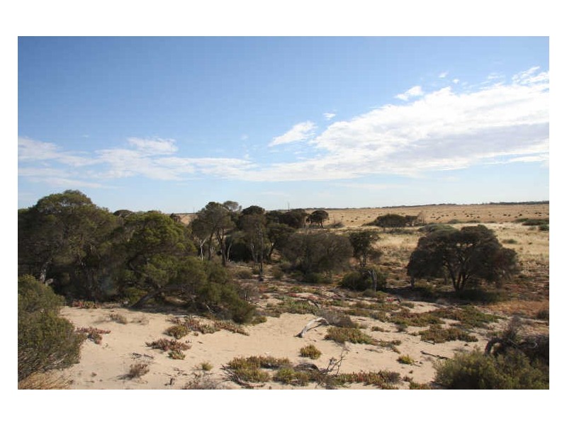 Smoky Bay Development, Smoky Bay SA 5680