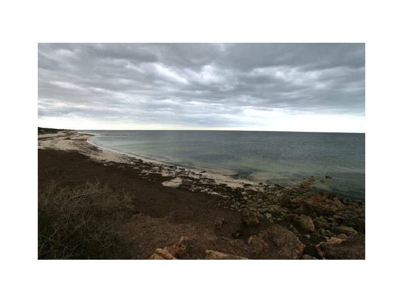 Lot 14 Main Street, Balgowan SA 5573