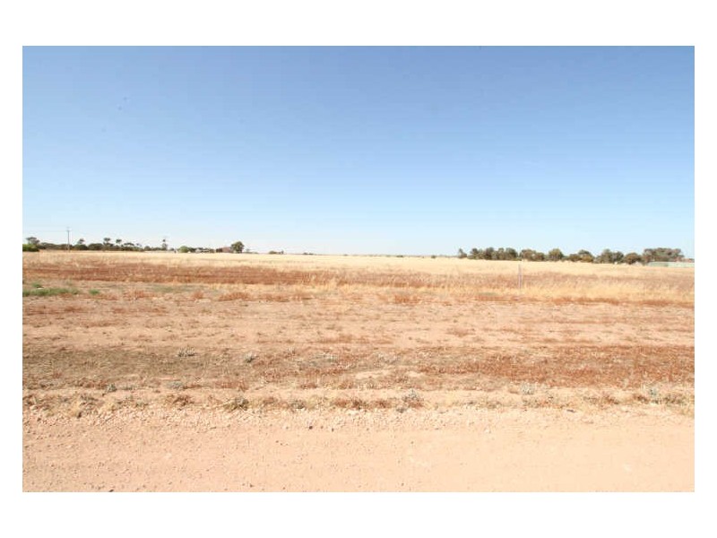 2/ Lukeman Street, Kadina SA 5554