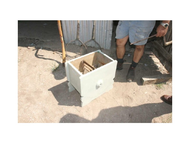 Tickera, Tickera SA 5555