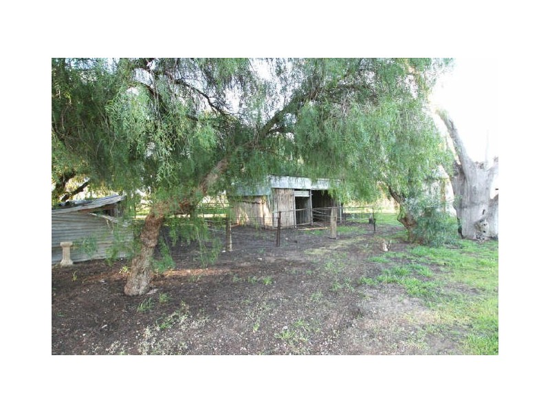 Sect/17 Arbon Road, Bute SA 5560