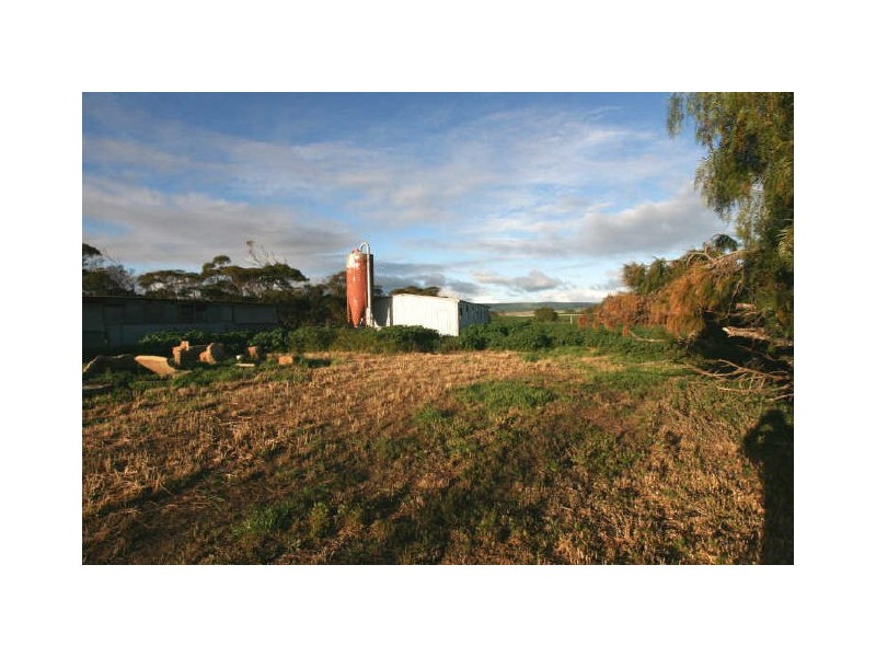 Sect/17 Arbon Road, Bute SA 5560