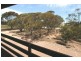 Lot 22 Paskeville Road, Kadina SA 5554