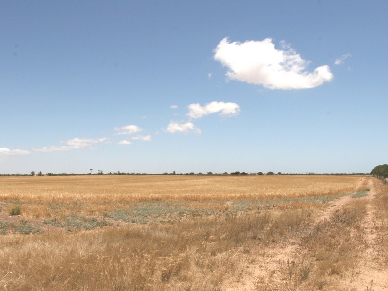 Sec 132 Bute Road, Kadina SA 5554