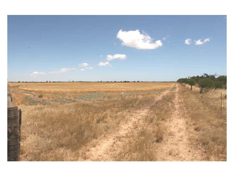 Sec 132 Bute Road, Kadina SA 5554