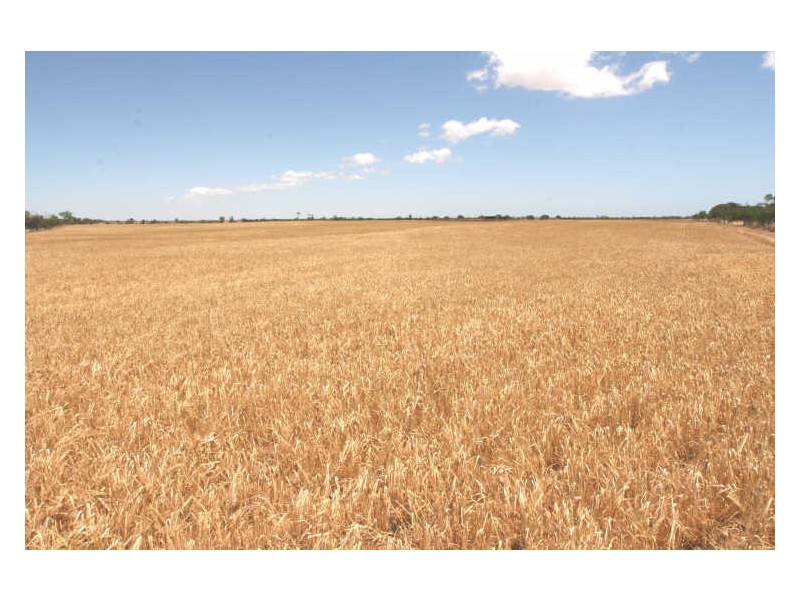 Sec 132 Bute Road, Kadina SA 5554