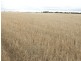 Section/463   472 New Road, Kadina SA 5554