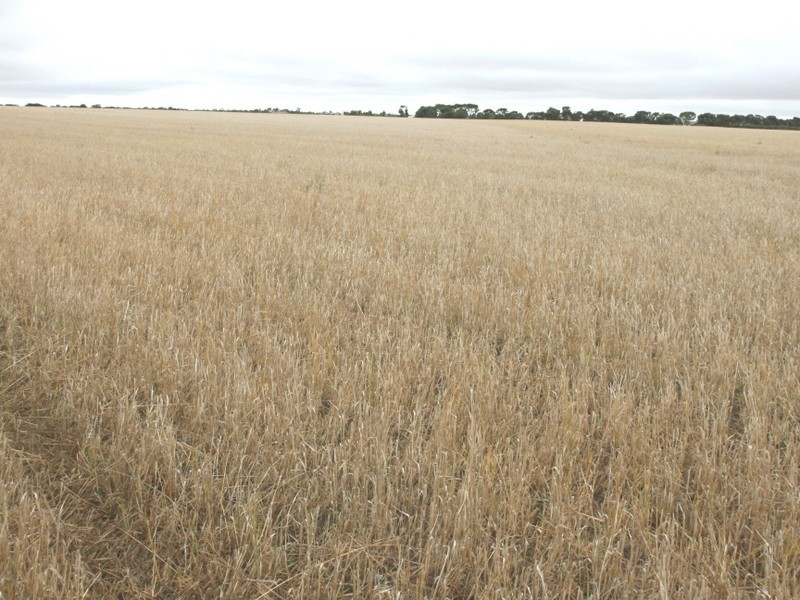 Section/463   472 New Road, Kadina SA 5554