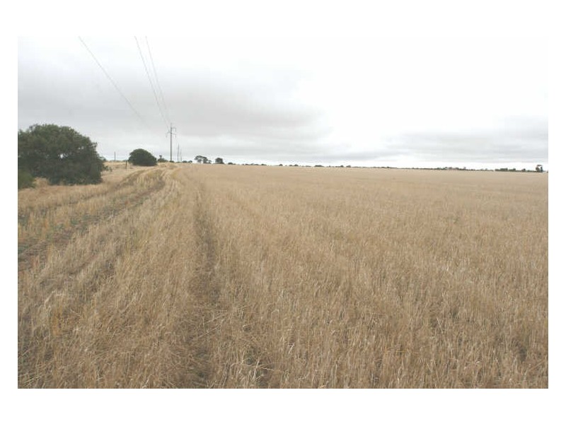 Lot Sections/471 464 46 Koch Road, Kadina SA 5554