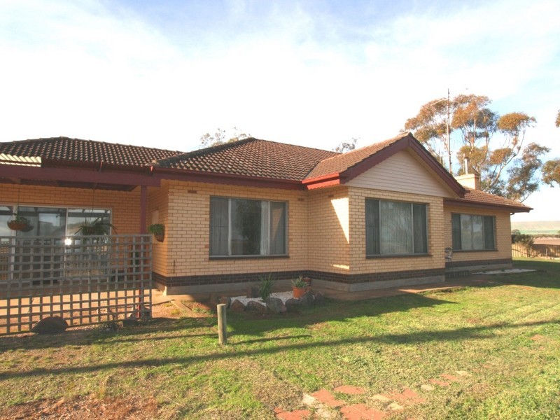 15 Bute – Snowtown Road, Bute SA 5560