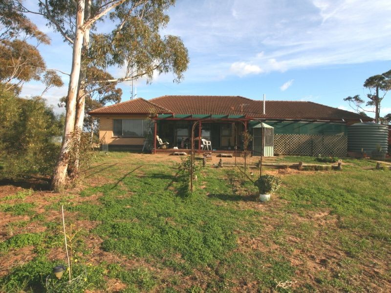 15 Bute – Snowtown Road, Bute SA 5560