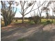 15 Bute – Snowtown Road, Bute SA 5560