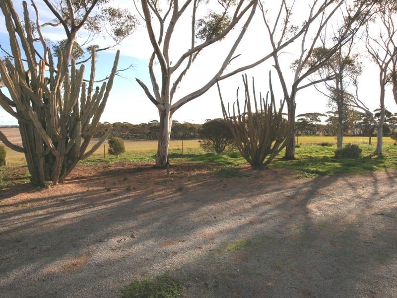 15 Bute – Snowtown Road, Bute SA 5560