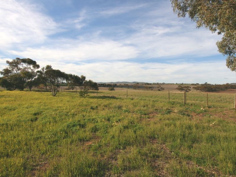 15 Bute – Snowtown Road, Bute SA 5560