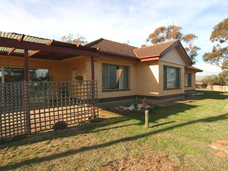 15 Bute – Snowtown Road, Bute SA 5560