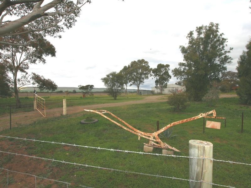 15 Bute – Snowtown Road, Bute SA 5560