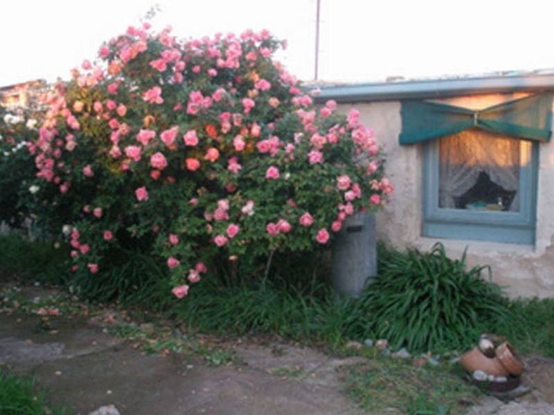 44 Datson Road, Kadina SA 5554