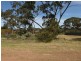 Lot 6 Moonta-Thrington Road, Kadina SA 5554