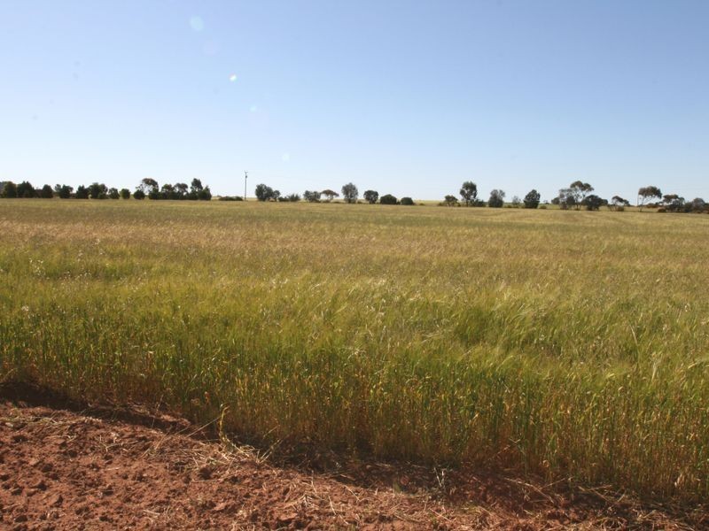 Sect. 466 Harris Road, Kadina SA 5554