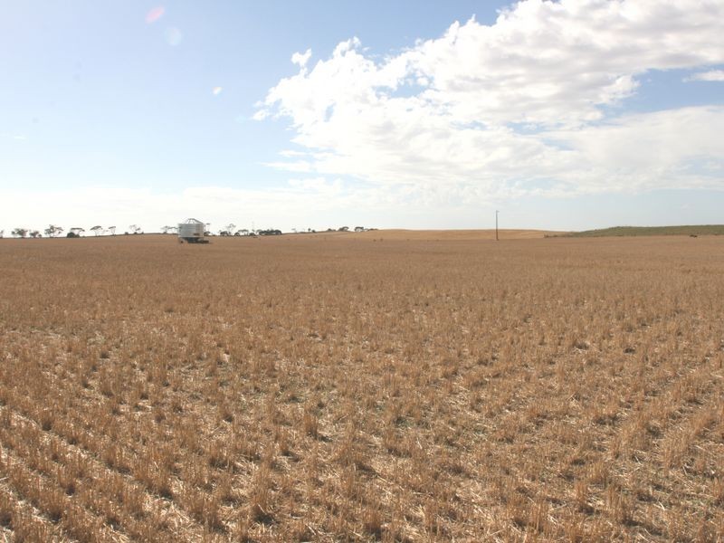 Sect 168 Hundred Of Tickera, Alford SA 5555