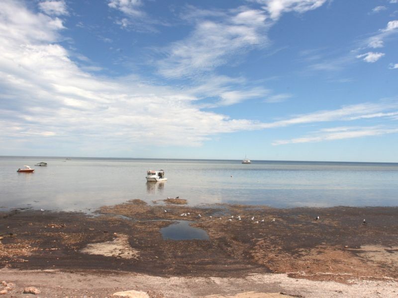 Lot 116 Coast Terrace, Tickera SA 5555