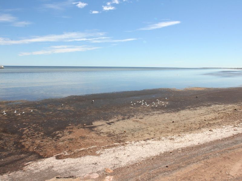 Lot 116 Coast Terrace, Tickera SA 5555