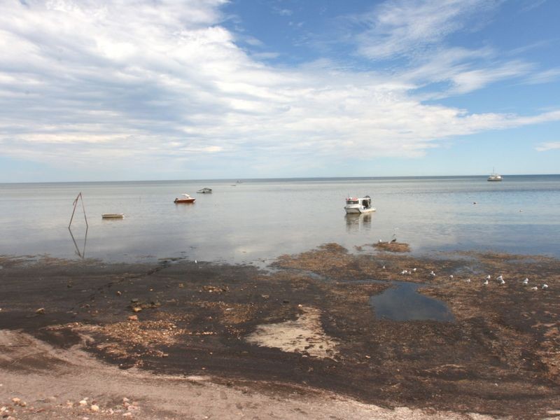 Lot 116 Coast Terrace, Tickera SA 5555