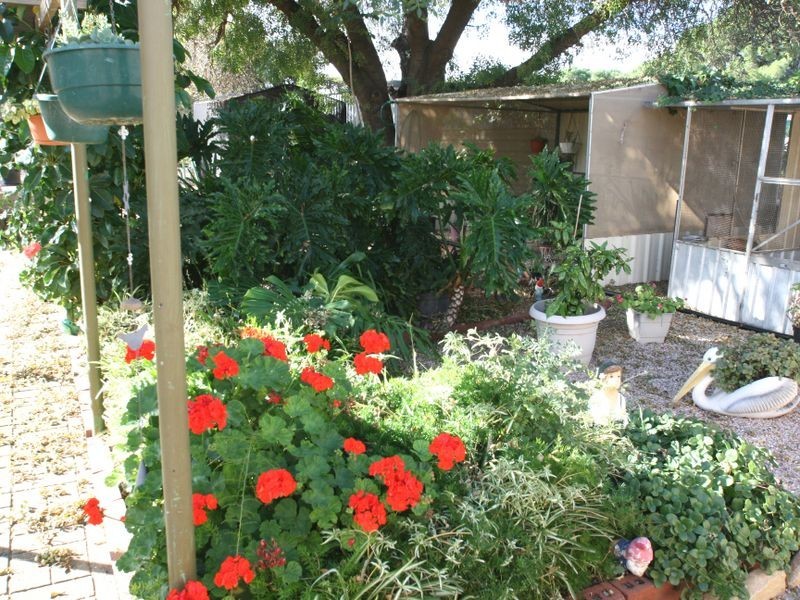 11A Lawrence Street, Kadina SA 5554