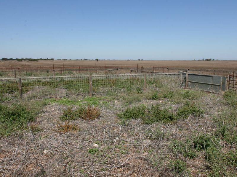Allotment 2 & 379 &/Sections 1 Hundred Of Dalkey, Balaklava SA 5461