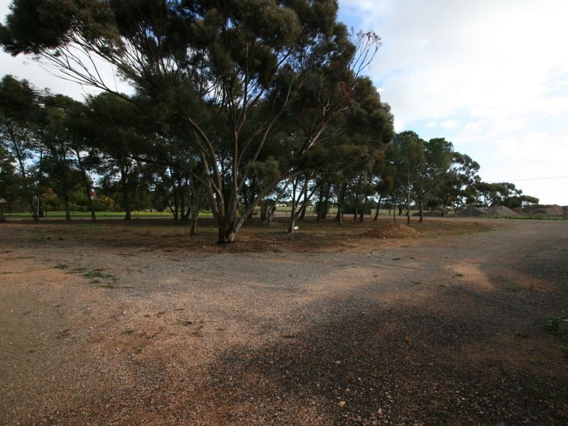 12 Ramsey Street, Kadina SA 5554