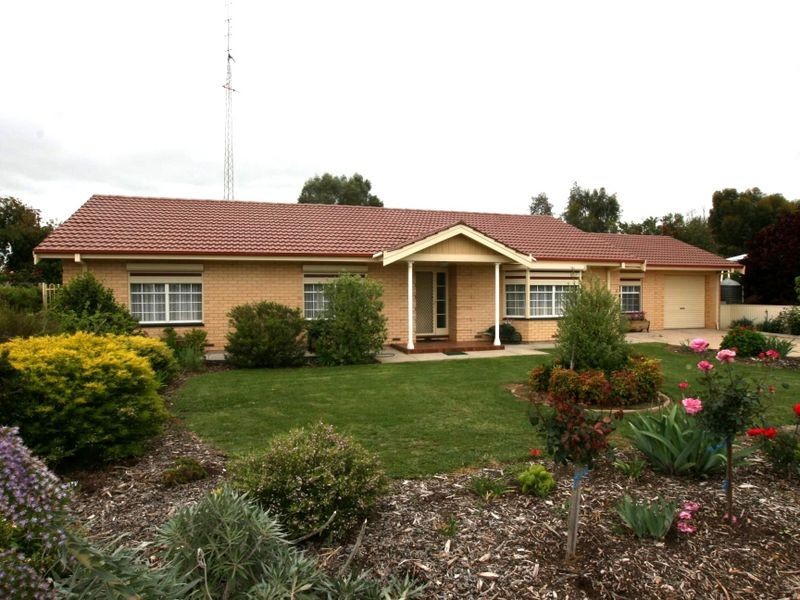 59 Frances Terrace, Kadina SA 5554