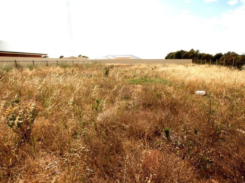 Lot 31 Lamshed Street, Kadina SA 5554