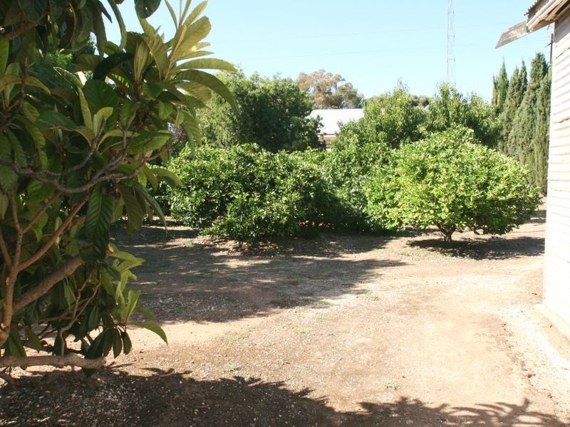62 South Terrace, Kadina SA 5554