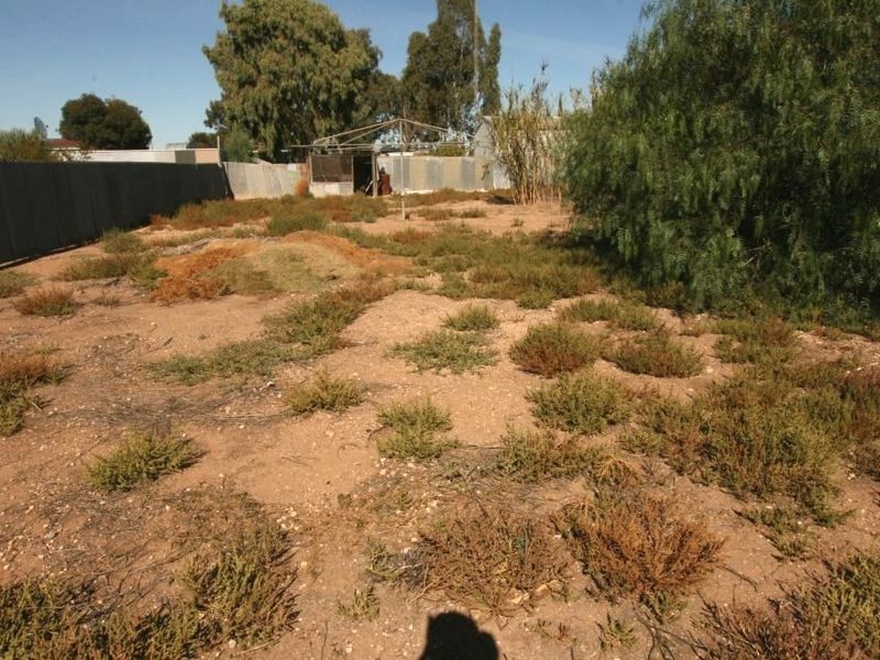 20 Haynes Street, Kadina SA 5554