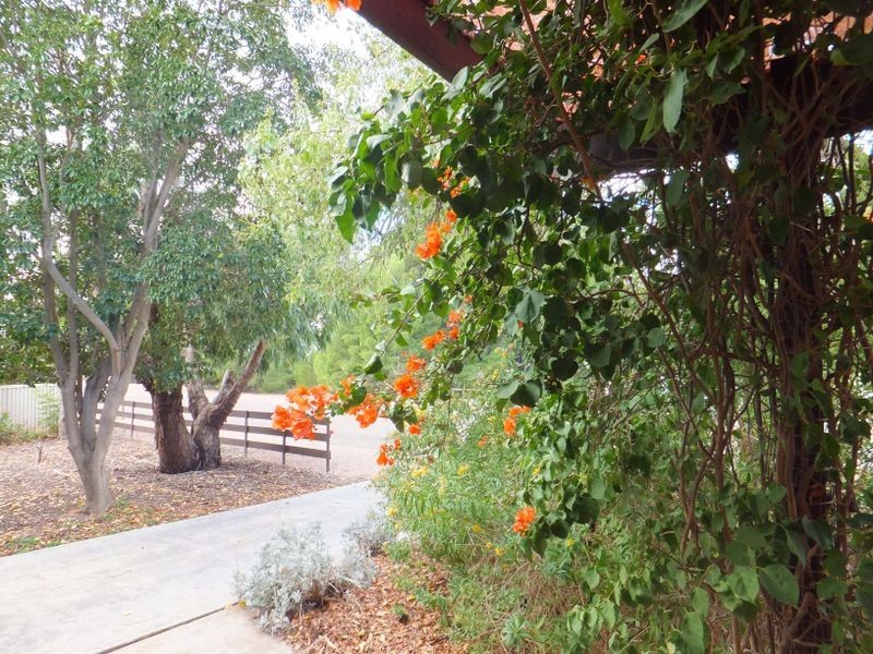 7 East Terrace, Kadina SA 5554