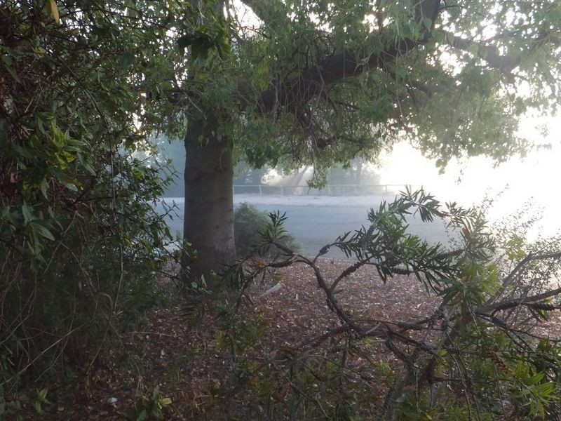 7 East Terrace, Kadina SA 5554