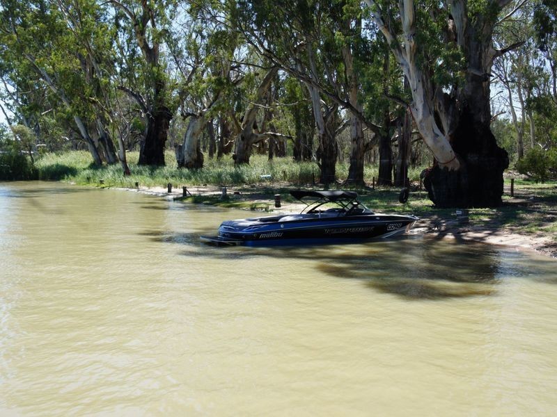 74 Apold Court Pine Village, Morgan SA 5320