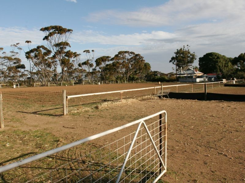 Sect. 276 Kadina Road, Bute SA 5560
