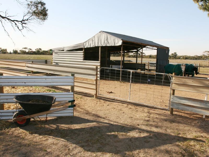 Sect. 276 Kadina Road, Bute SA 5560