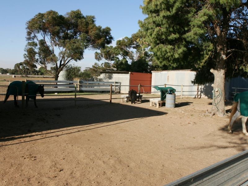 Sect. 276 Kadina Road, Bute SA 5560