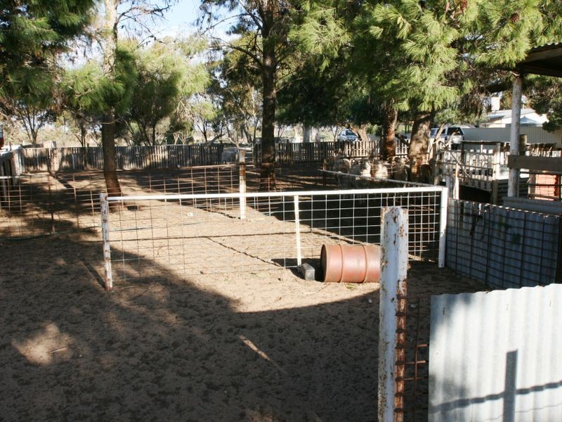 Sect. 276 Kadina Road, Bute SA 5560