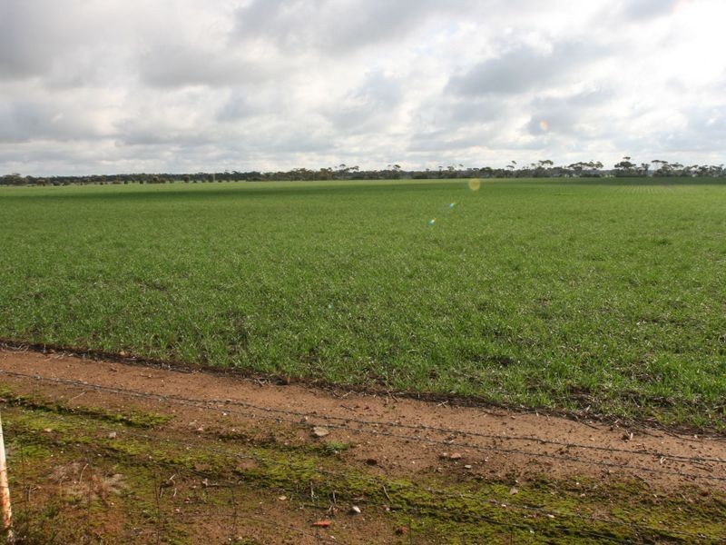 Lot 2 West Park Road, Bute SA 5560