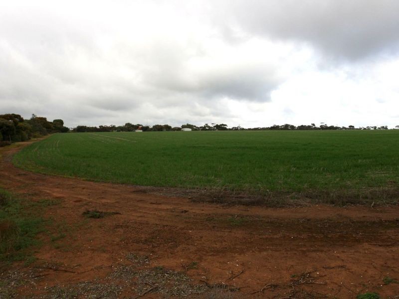 Lot 2 West Park Road, Bute SA 5560