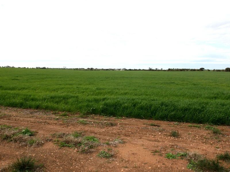 Sect 207-2 Alford Road, Kadina SA 5554