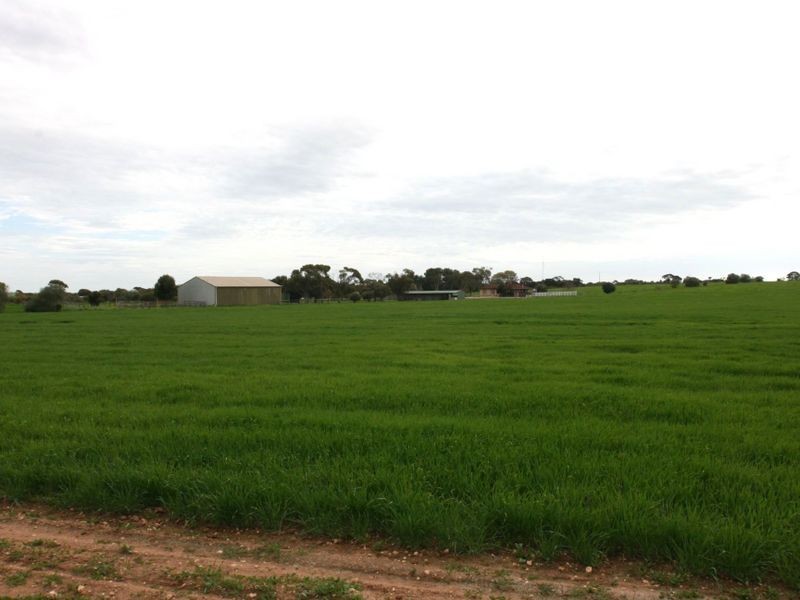 Sect 207-2 Alford Road, Kadina SA 5554