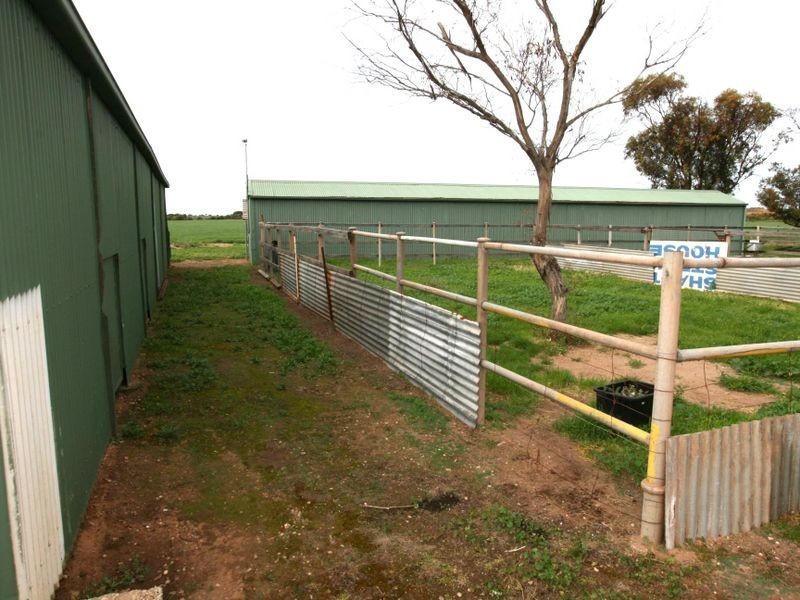 Sect 207-2 Alford Road, Kadina SA 5554