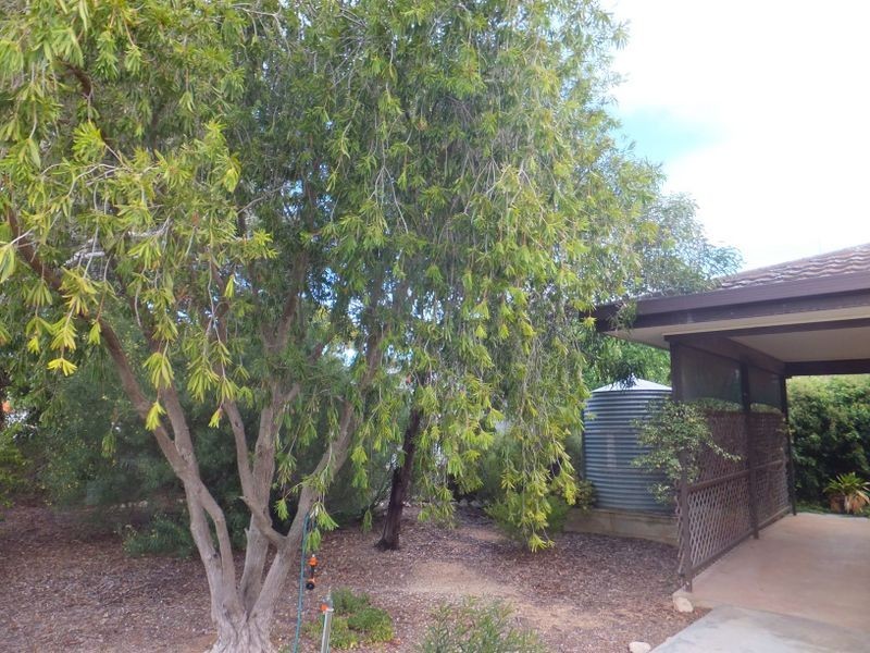 7 East Terrace, Kadina SA 5554
