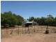 14 Olive Parade, Kadina SA 5554